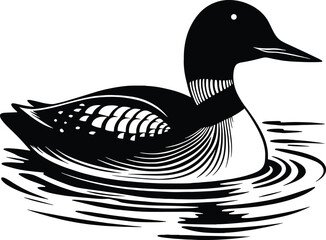 Loon bird on Water