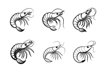 Shrimp fish vector art 