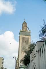 Beautiful garden with flowers and fountain in mosque in France. Paris.