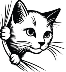 Curious Kitten Peeking Through