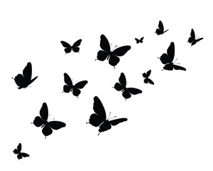 black butterfly flock design