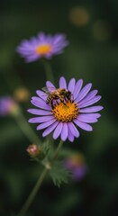 Obraz premium Bee on Purple Flower Macro Photography