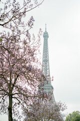 Eiffel Tower. French architecture, Paris streets, Europe.