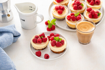 Classic New York cheesecakes in individual cups topped with fresh raspberry