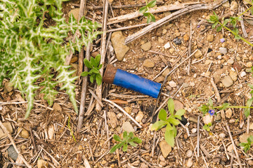 Cartridge casings thrown in the middle of the forest.