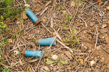 Cartridge casings thrown in the middle of the forest.