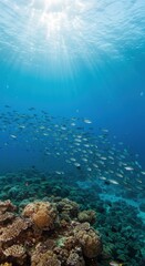 Obraz premium Sunlit Underwater Paradise: A School of Fish Above Vibrant Coral Reef