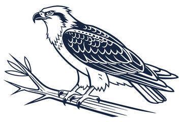 eagle on a branch