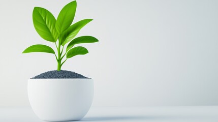 Simplistic White Background Icon Featuring Blue Plant Sprout with Clean Lines 3D Render