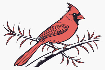robin on a branch