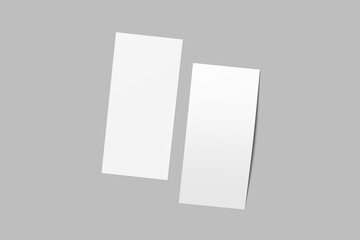 dl flyer blank design mockup