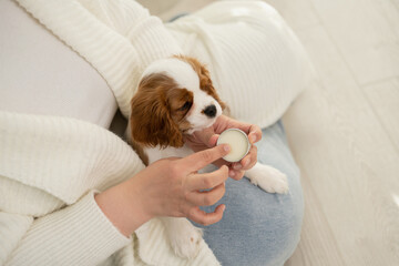 Cozy at home with a dog and care routine for pets