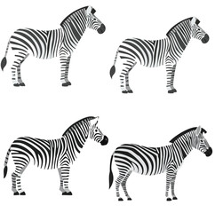 Standing Zebra with Bold Stripes Vector Bundle Set