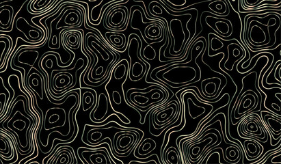 Abstract modern white and black topographic contour map wavy line, digital print terrain lines texture white background. 