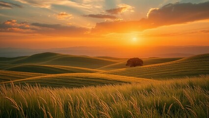 Fototapeta premium Goldenes Abendlicht fällt auf sanfte Hügellandschaft mit Wiesen und einem einsamen Baum – friedlich, romantisch und atmosphärisch.