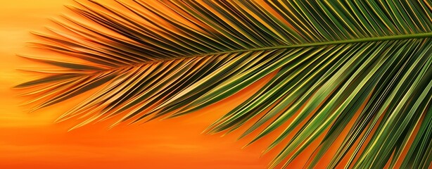 Vibrant palm leaf against colorful sunset sky.