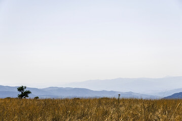 summer countryside landscape inside val d'agri, basilicata