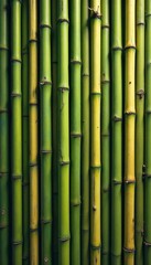 Fototapeta premium Vertical bamboo reeds create a textured, natural backdrop , organic, scene