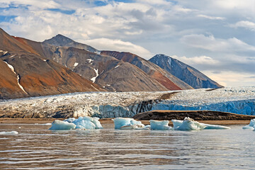 Alpine Glacier Heading to the Ocean