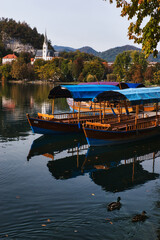 Fototapeta premium Lake Bled, Slovenia - October 18, 2021: A long distance view of Bled Island in Autumn, amid a green and blue natural landscape
