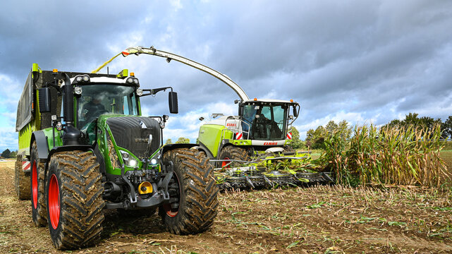 Forage harvester chopper combine or maize shredder, flail chopper harvesting shredding for ecological sustainable environmentally friendly biogas plant with Tractor and trailer collecting the maize.