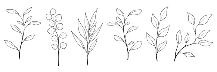 Set of hand drawn plant branches
