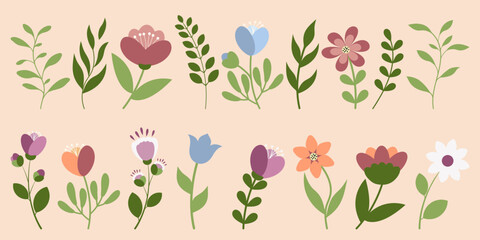 Botanical set of plant elements