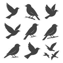 Bird Silhouettes Collection of Flying and Perched Bird Illustrations