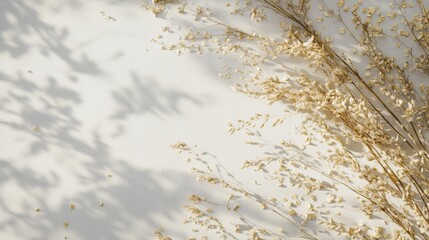 Delicious Fresh Harvested Oats Whole Grains on Clean Neutral Background Stock Image