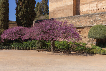 Square of the Cisterns in front of Alcazaba fortress of Alhambra, Granada, Spain, Andalusia