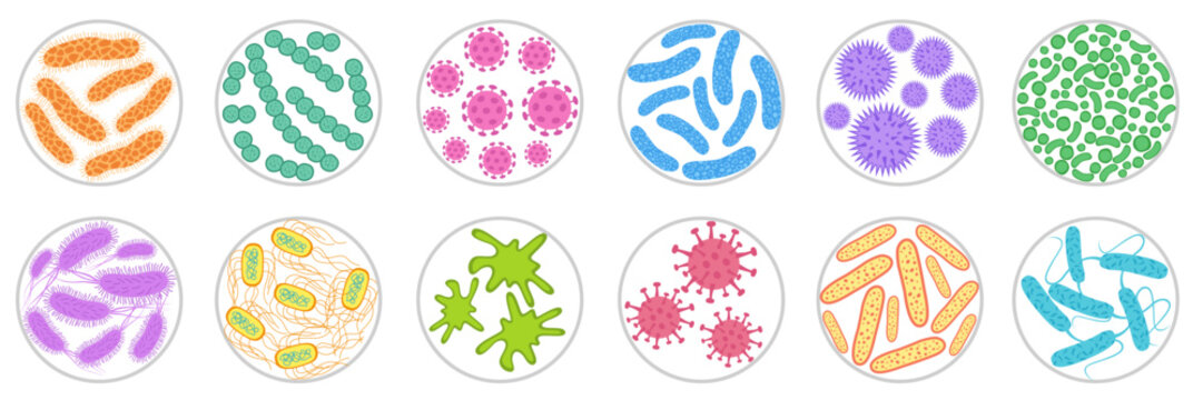 Different types of bacteria, germ and virus.