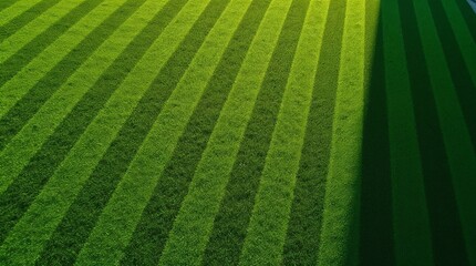 Vibrant green grass stripes illuminated by sunlight  