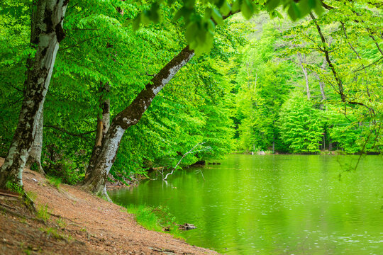 Parz Lich (Clear Lake), mountainous lake near Dilijan, Armenia