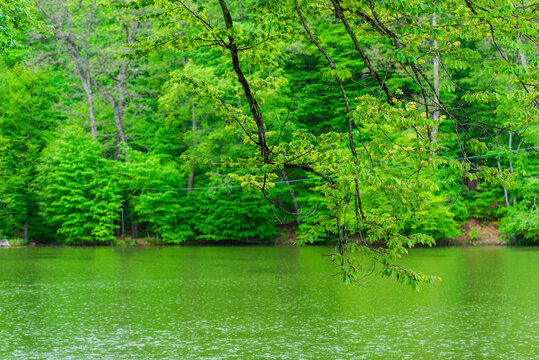 Parz Lich (Clear Lake), mountainous lake near Dilijan, Armenia