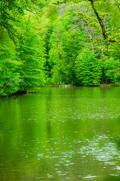 Parz Lich (Clear Lake), mountainous lake near Dilijan, Armenia