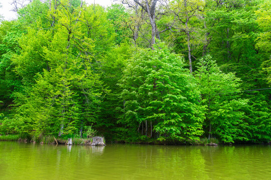 Parz Lich (Clear Lake), mountainous lake near Dilijan, Armenia