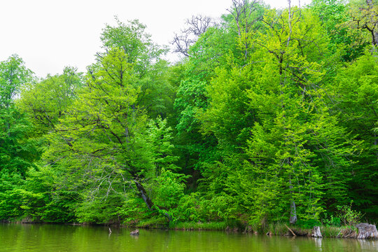Parz Lich (Clear Lake), mountainous lake near Dilijan, Armenia