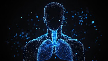 Human respiratory system, digital illustration