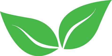 green leaf vector illustration