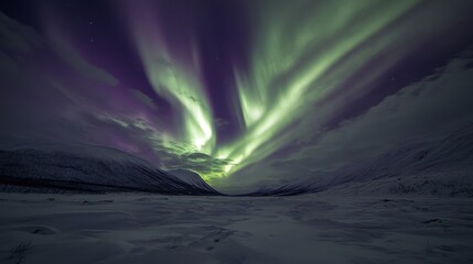 Naklejka premium Majestic aurora borealis illuminates arctic night sky.