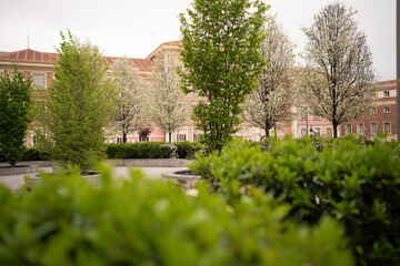 Obraz premium Blooming trees and green bushes framing a pink building in spring