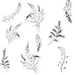 Seamless pattern. Field herbs on a white background. Floral composition. Abstract wallpaper with floral motifs. Use for printed products, signs, posters, postcards, packaging.