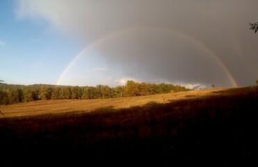 Naklejka premium Atmospheric panoramic photo of a rainbow. Forest, field of rainbow, cloudy