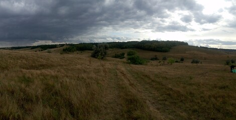 Panoramic photo of a field of cloudy weather. Gray tones. A field road