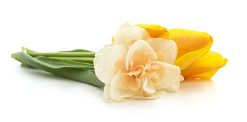 Yellow tulips and daffodil.