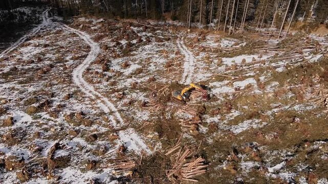 Efficient logging operations in snowcovered forest with heavy machinery, timber truck work.