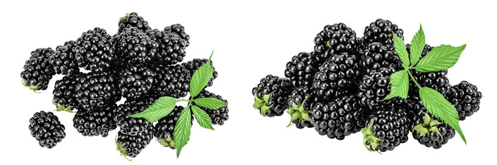 blackberry with leaf isolated on a white background closeup. Top view. Flat lay