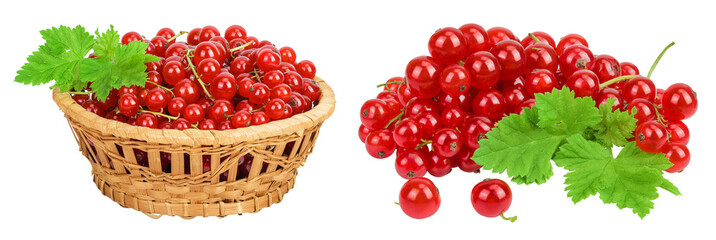 Red currant berries in a wicker basket isolated on white background