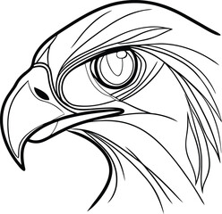 Stylized Eagle Head Outline Illustration Vector Design Element Black And White Art