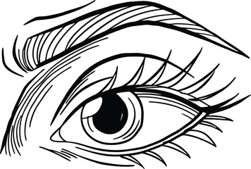 Artistic Black And White Eye Drawing With Detailed Eyelashes And Eyebrow Illustration